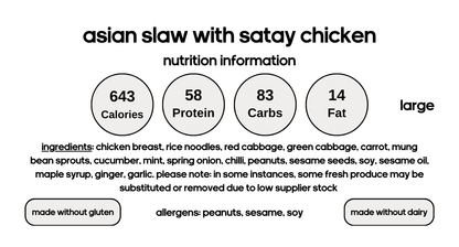 Asian Rice Noodle Salad with Satay Chicken