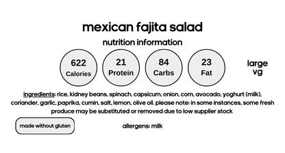 Mexican Fajita Salad with Rice & Beans (V)