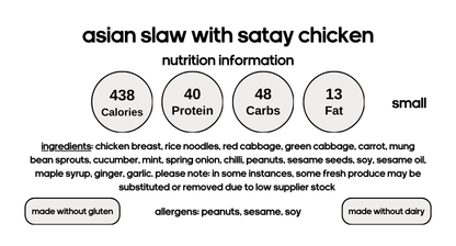 Asian Rice Noodle Salad with Satay Chicken